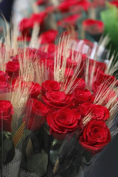 Diada de Sant Jordi 2019 a Girona.