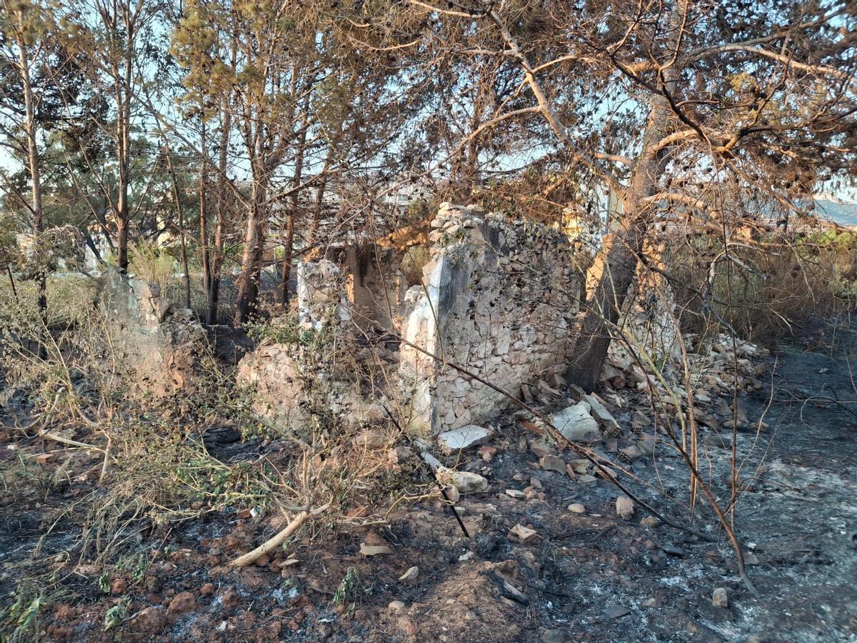 Un tramo de duna calcinado y escombros, abandono y cenizas: el estrago del incendio de Dénia junto a la playa del Raset
