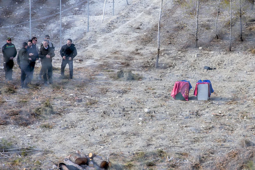 Las imágenes de la llegada de tres ejemplares de lince ibérico a las montañas de Lorca