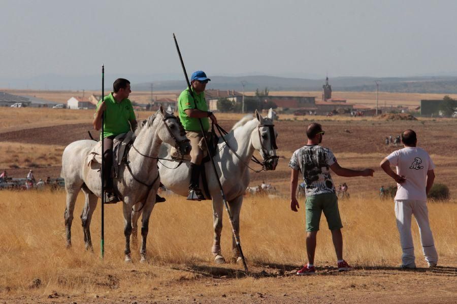 Espanto en Carbajales de Alba