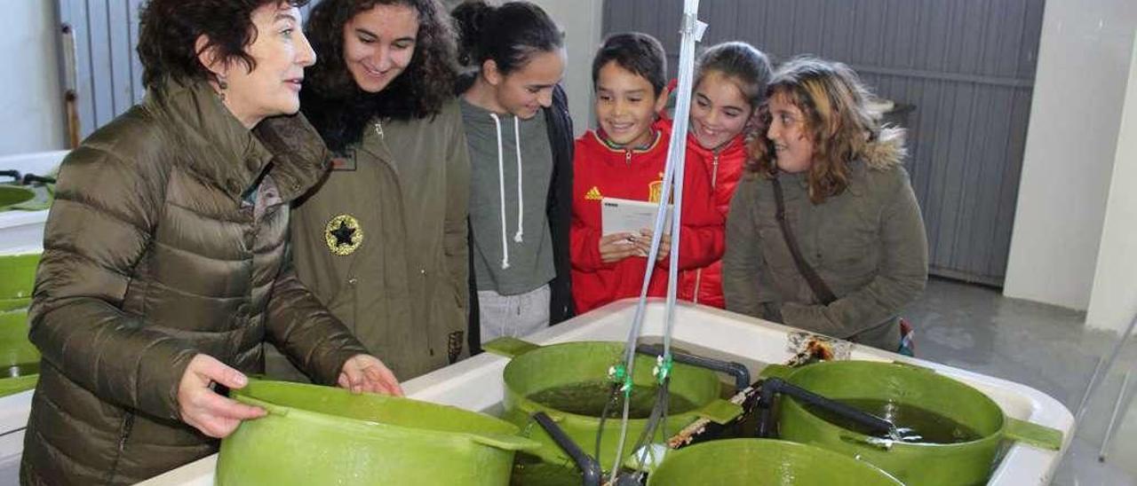 La bióloga Carmen Rodríguez muestra las semillas de almeja a los estudiantes tapiegos.