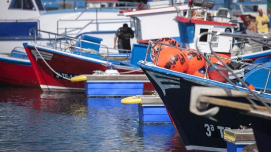 El Gobierno mantendrá abierta la pesca del bonito hasta el 5 de octubre