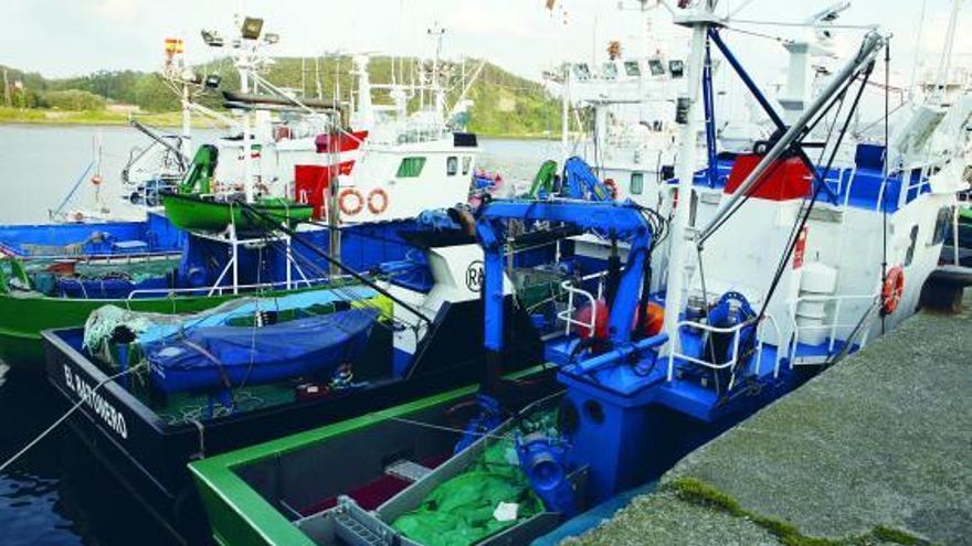 Barcos cerqueros, amarrados en el muelle pesquero avilesino.