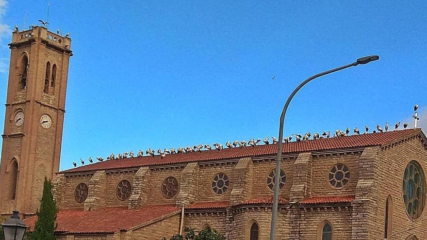 L&#039;església de Santa Maria de Sallent va ser un dels punts on es va aturar una gran quantitat de cigonyes