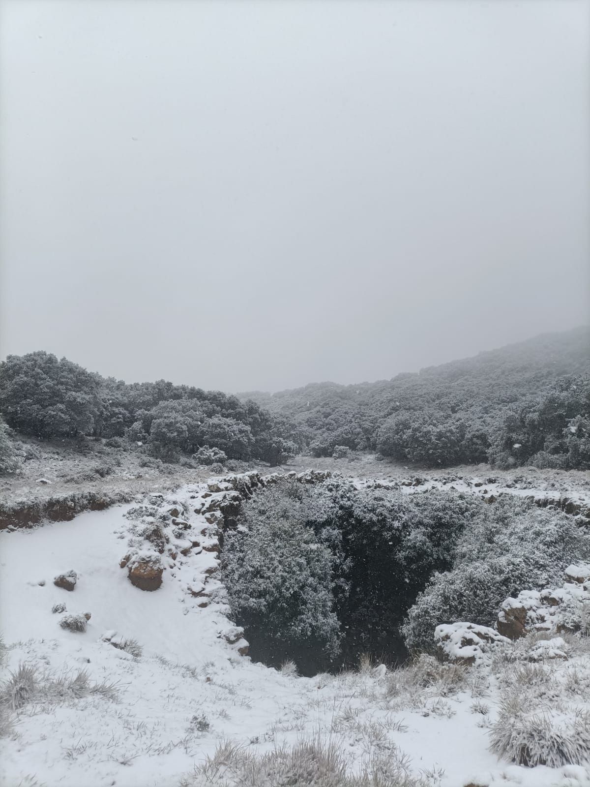 La parte más alta de la Safor, nevada este domingo