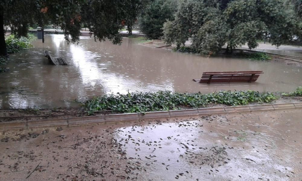 Paseo central de Blasco Ibáñez a la altura de ingeniero Rafael Janini