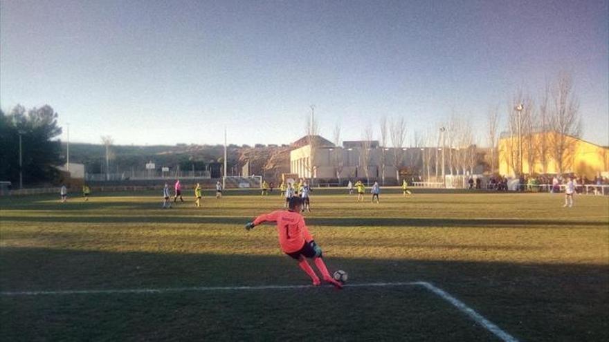 La comarca impulsa un torneo infantil