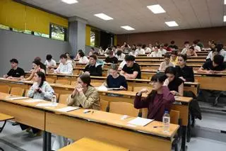 El campus cubre todas sus plazas en nueve de las trece titulaciones