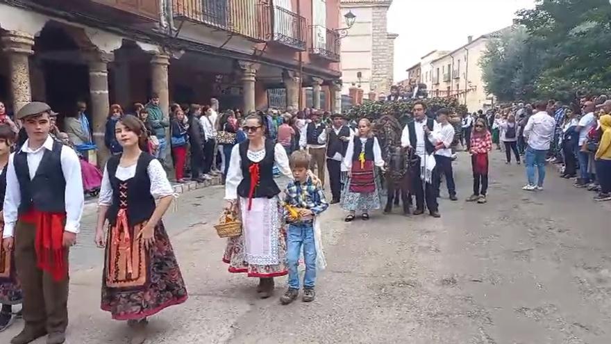 VÍDEO | Toro y su desfile de carros por la Fiesta de la Vendimia