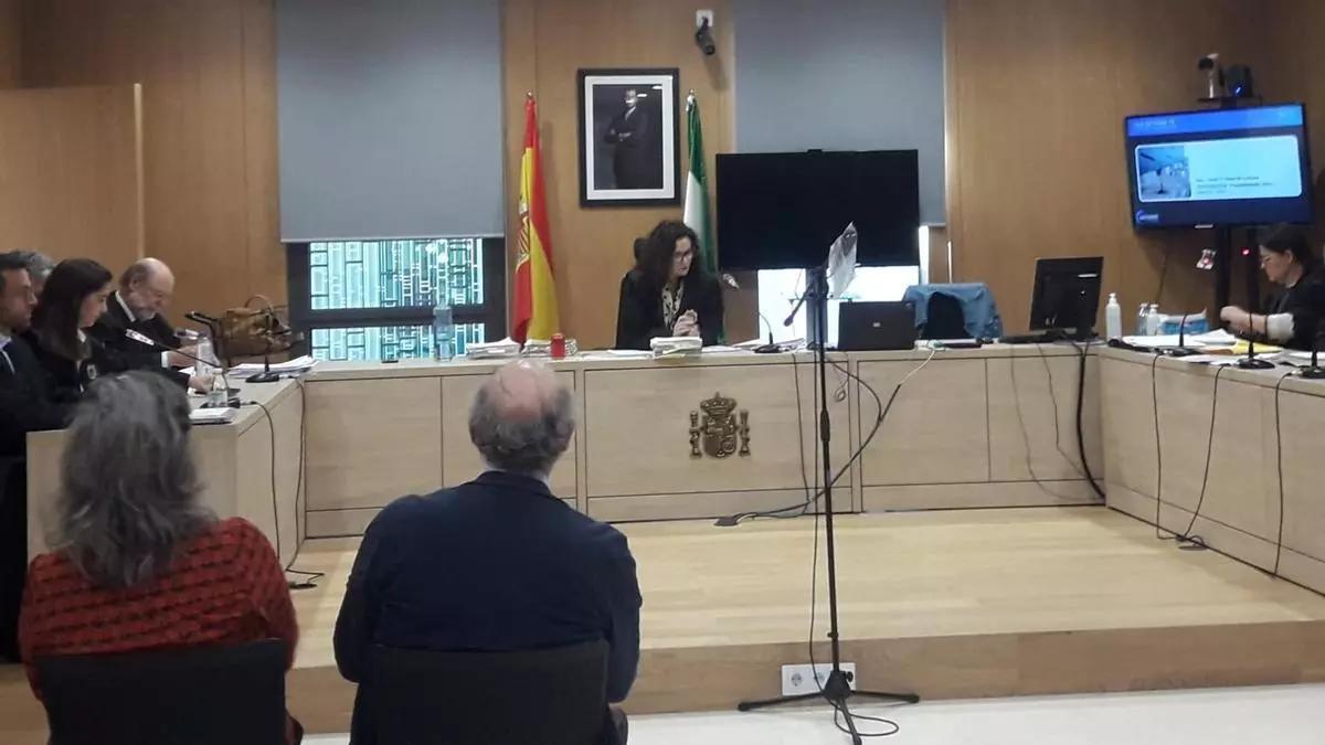 La jefa de Salud mental del hospital Reina Sofía, en la primera sesión del juicio.