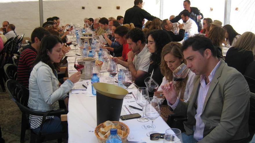 Enológos valoran los vinos elaborados en Toro, en una cata de calificación de la añada.