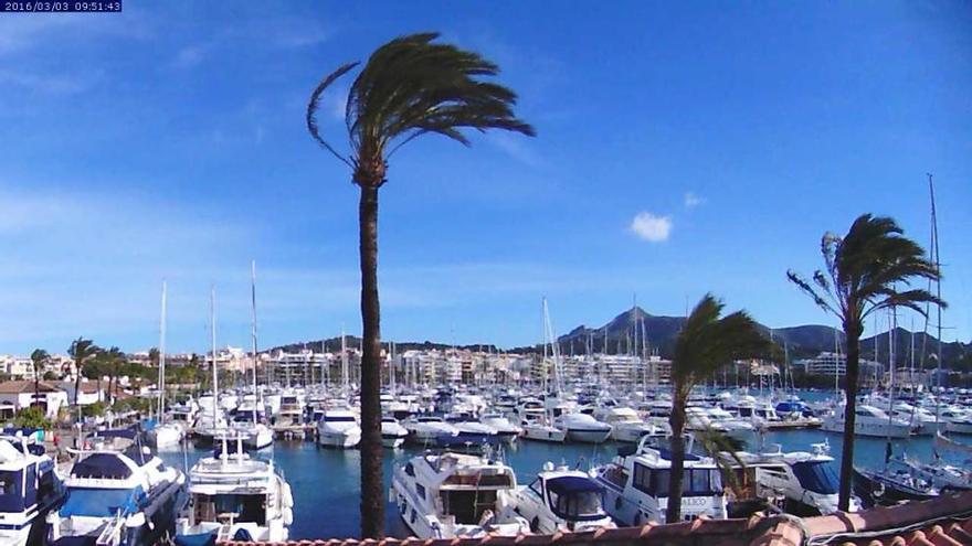 Es weht gehörig: Port d&#039;Alcúdia am Donnerstagvormittag (3.3.)