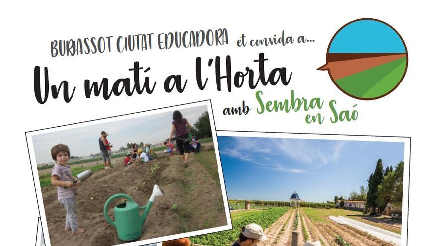 Ruta por la huerta de Burjassot