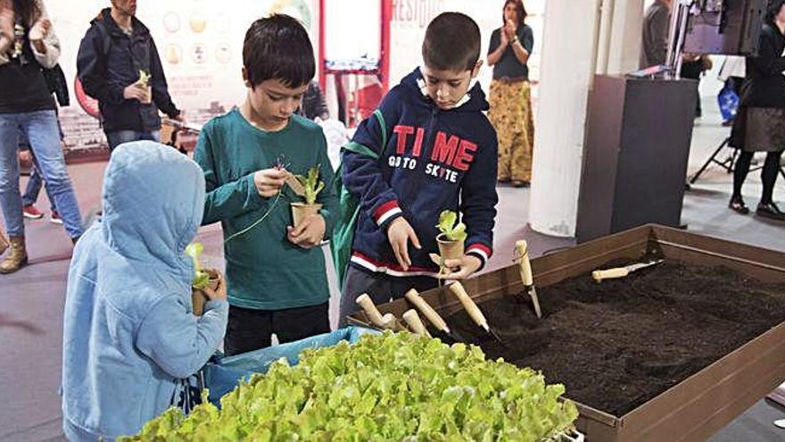 Imatge de l&#039;Ecoviure i Cuida&#039;t de l&#039;any passat