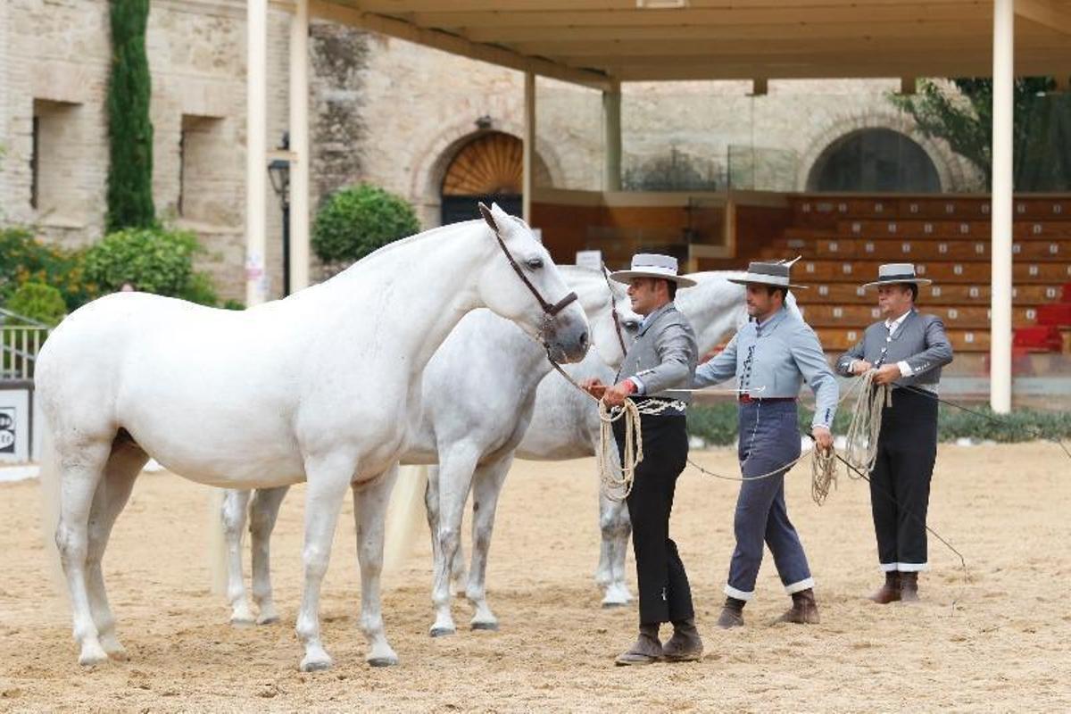 Cabalcor 2020 se celebrará del 17 al 20 de septiembre en Caballerizas Reales
