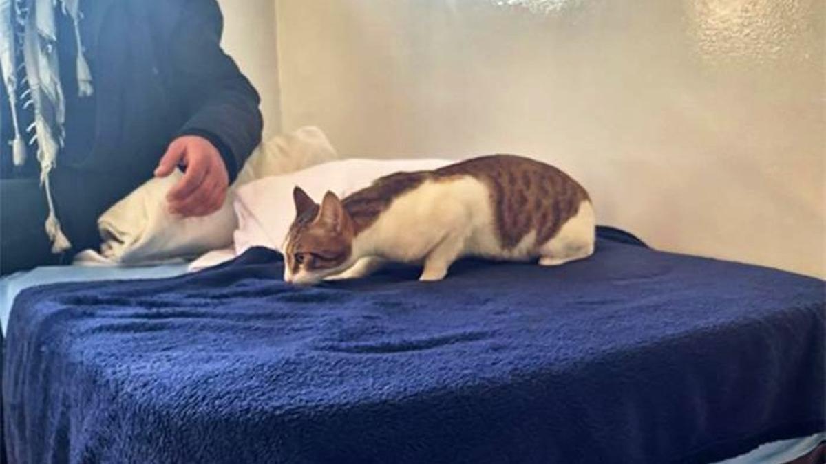 M. y su gato Age