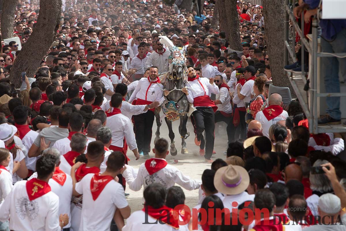 Así ha sido la carrera de los Caballos del Vino en Caravaca