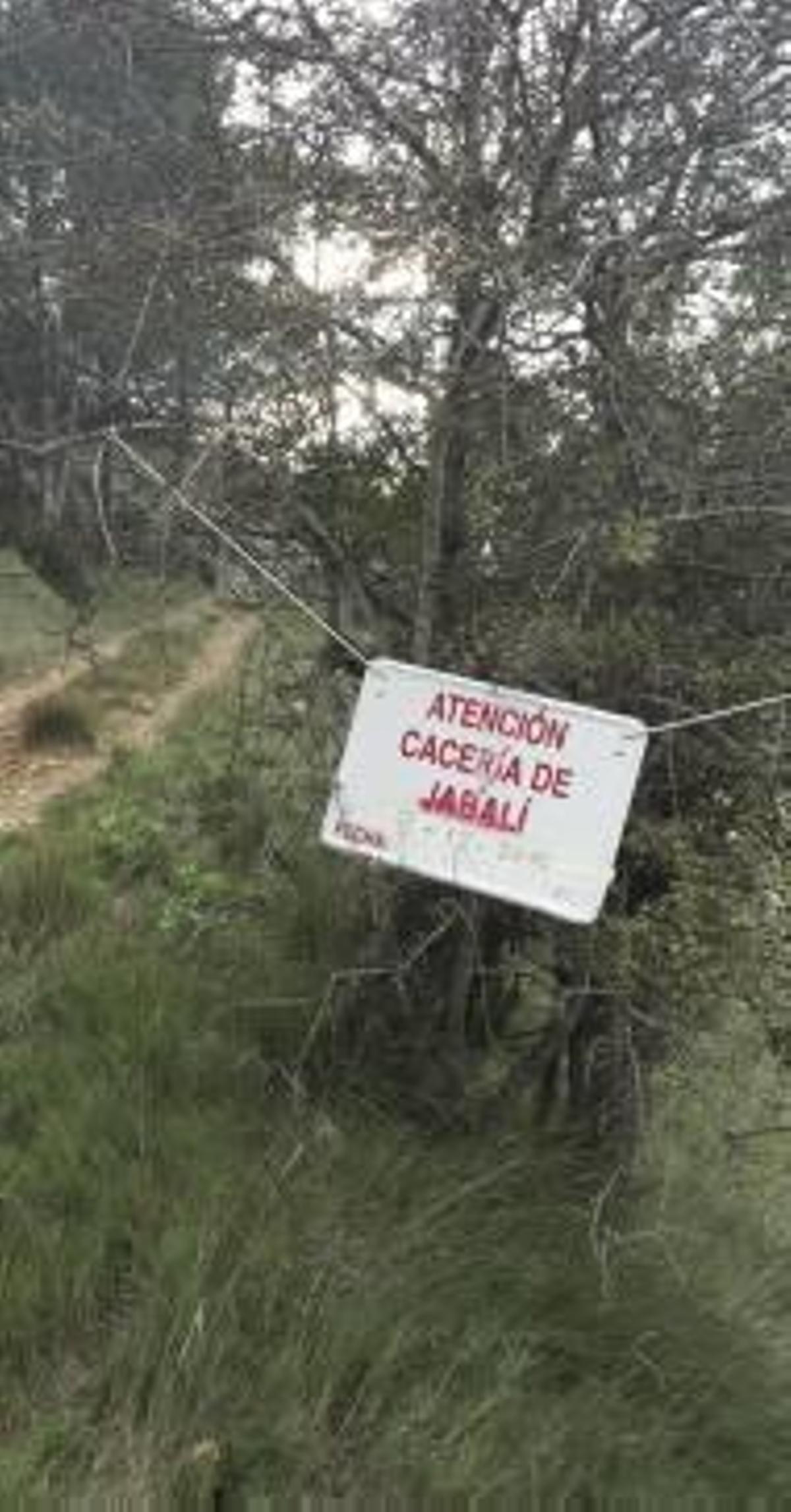 Gandia traslada a la Generalitat y al Seprona la necesidad de atajar la «invasión» de jabalís