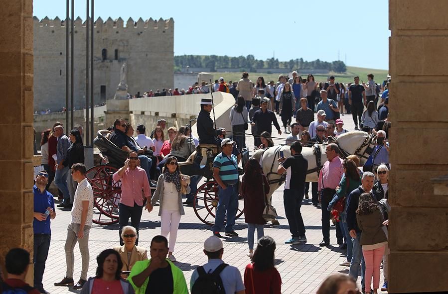 Fotogalería / Turismo en el Primero de Mayo en Córdoba