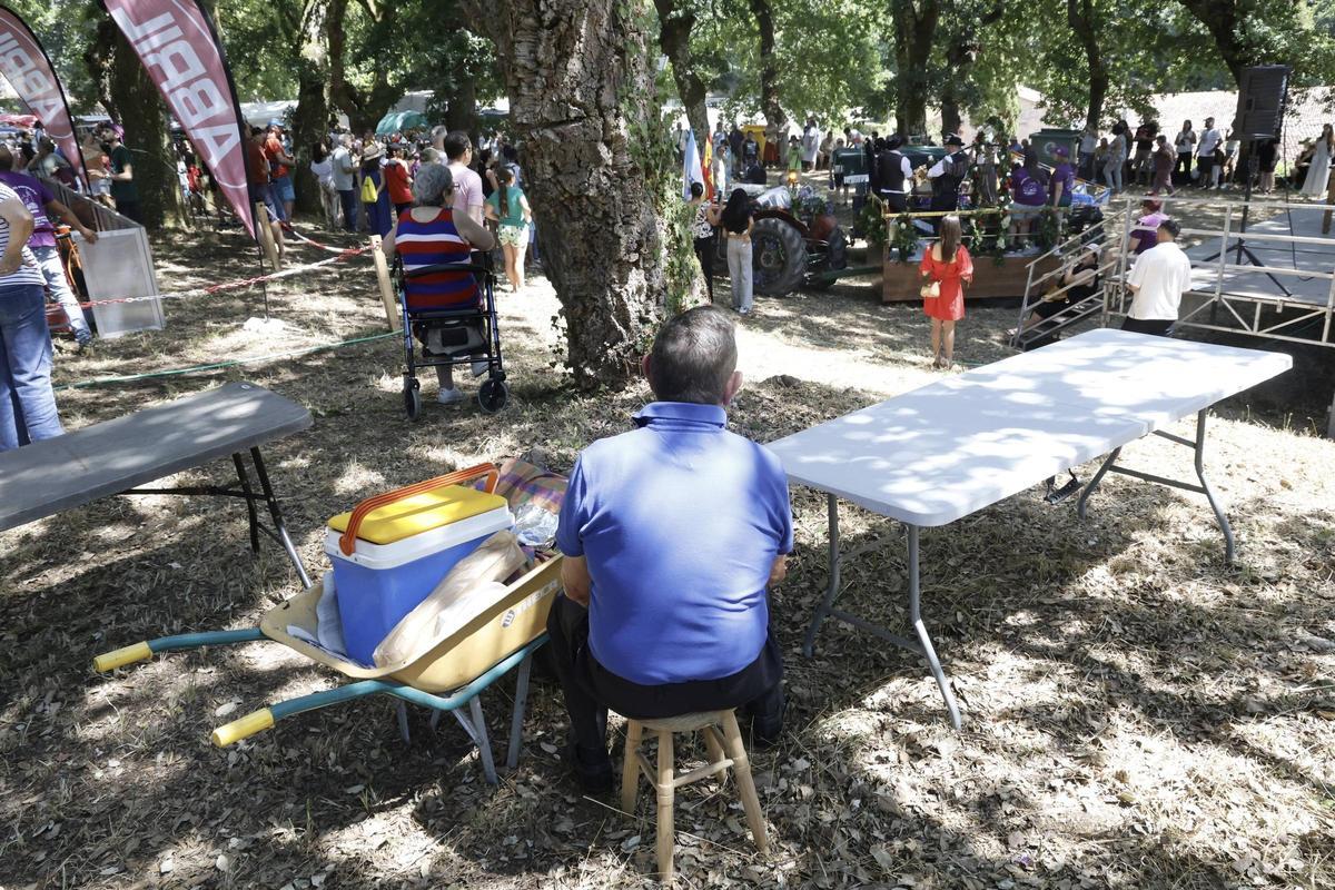 Padrón se rinde al pimiento de Herbón: 3.000 raciones para una fiesta multitudinaria Padrón se rinde al pimiento de Herbón: 3.000 raciones para una fiesta multitudinaria