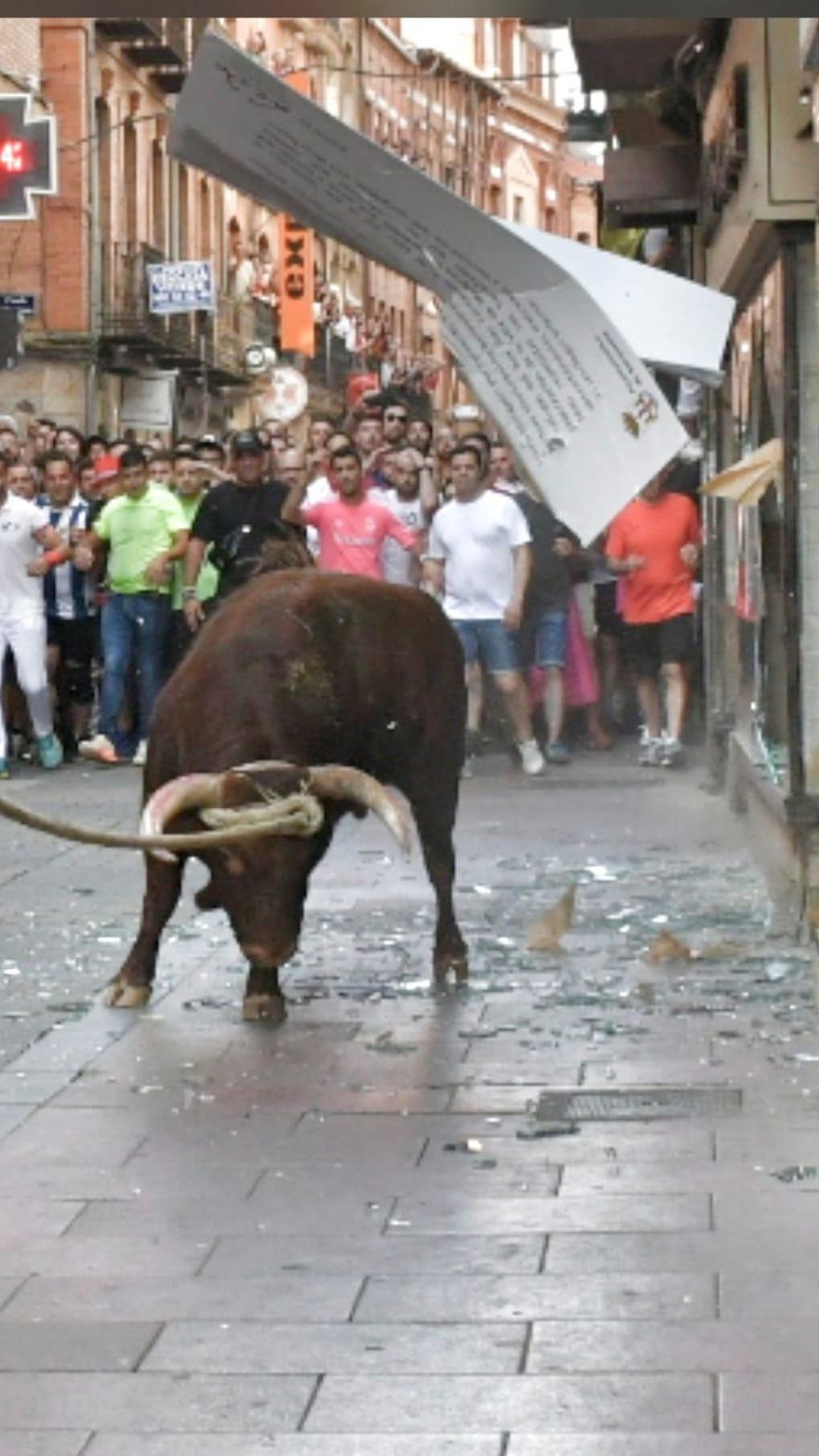 Torito Espléndido en calle La Rúa.