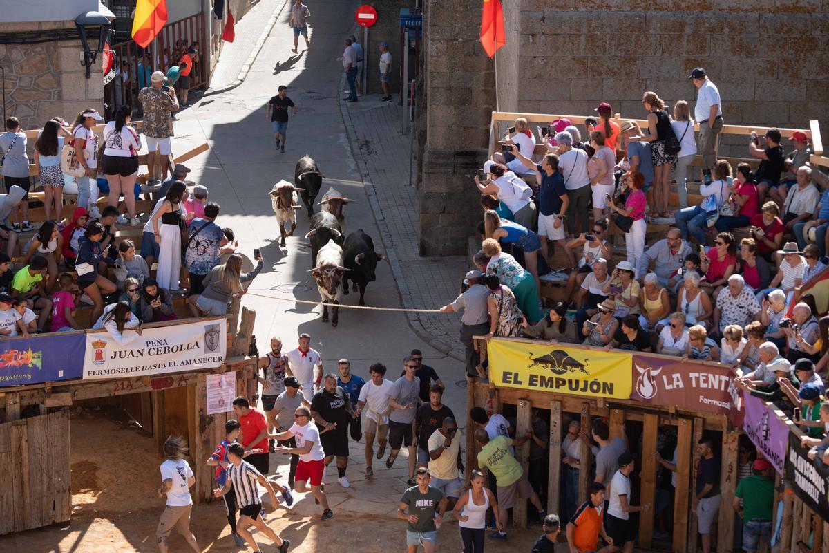 Encierro en Fermoselle