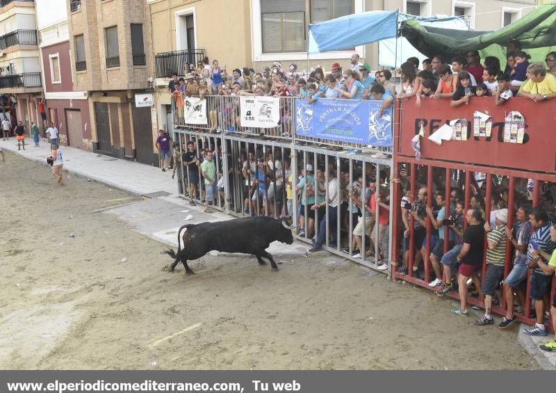 Peñas y toro.