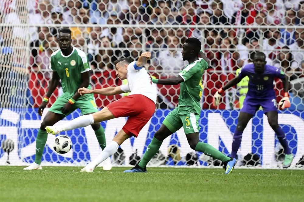 Polonia-Senegal