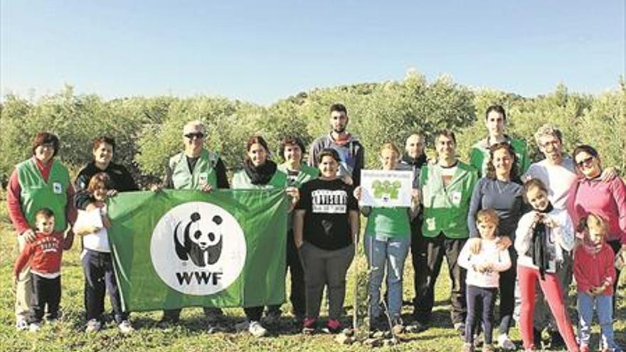 Plantan árboles para luchar contra los incendios