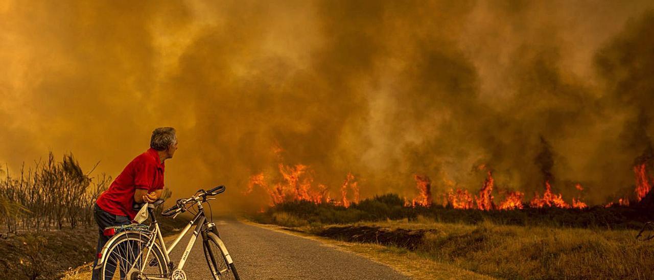 Un incendio en Cualedro (Ourense)