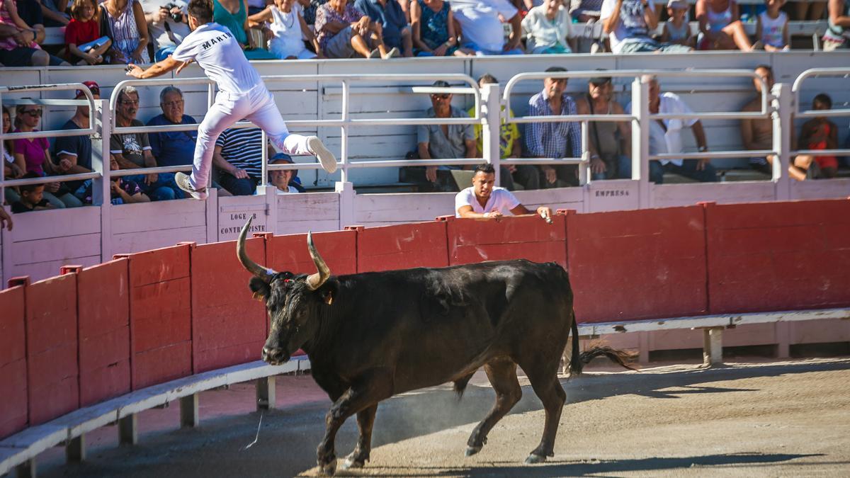 Festejo taurino en la plaza de toros de Arlés, en Francia