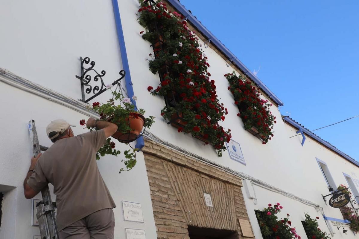 Rejas y balcones en junio