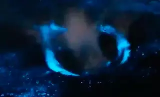 Resplandor nocturno en la Ría