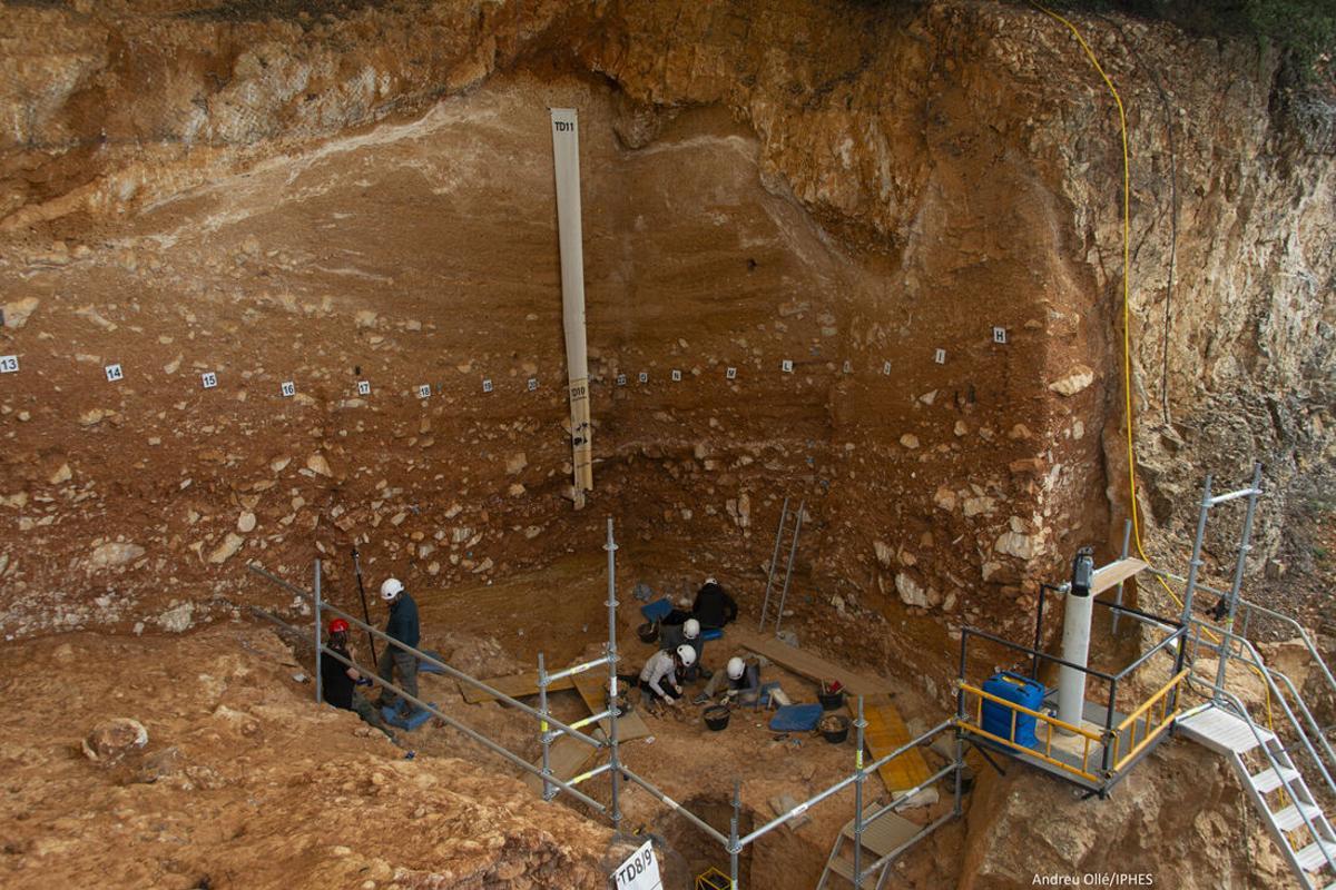 Vista general de la excavación en el yacimiento de la Gran Dolina.