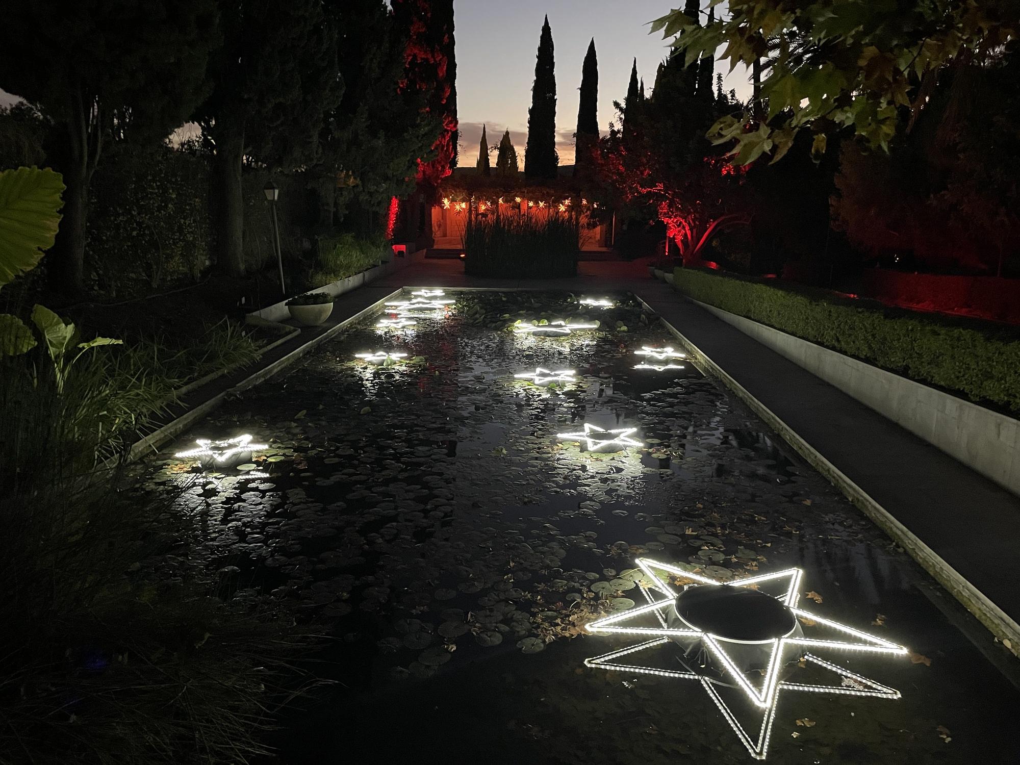 El Jardín Botánico Histórico La Concepción enciende sus luces de Navidad