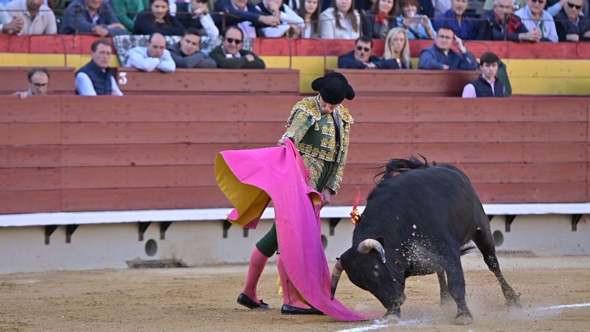 Imagen de una novillada del pasado año en la Magdalena.