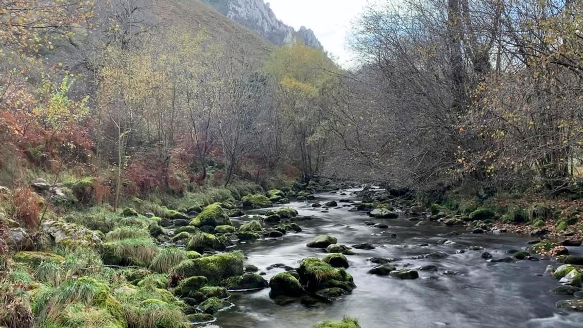 La ruta natural que te hace sentir como en el mundo de 'El Señor de los anillos', pero sin salir de Asturias: un relajante recorrido con el sonido del agua de fondo