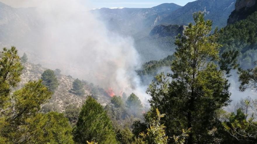 L&#039;incendi afecta massa forestal