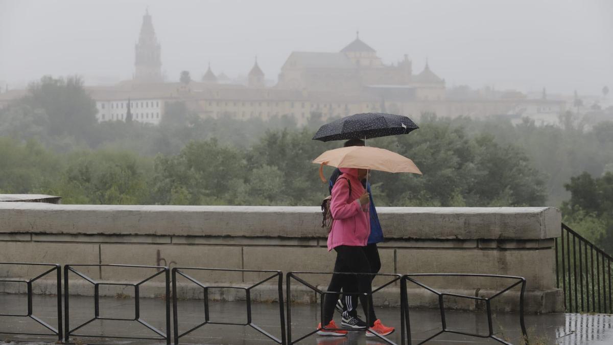 Dos personas caminan bajo la lluvia con sus paraguas por la ribera, en una imagen de archivo.