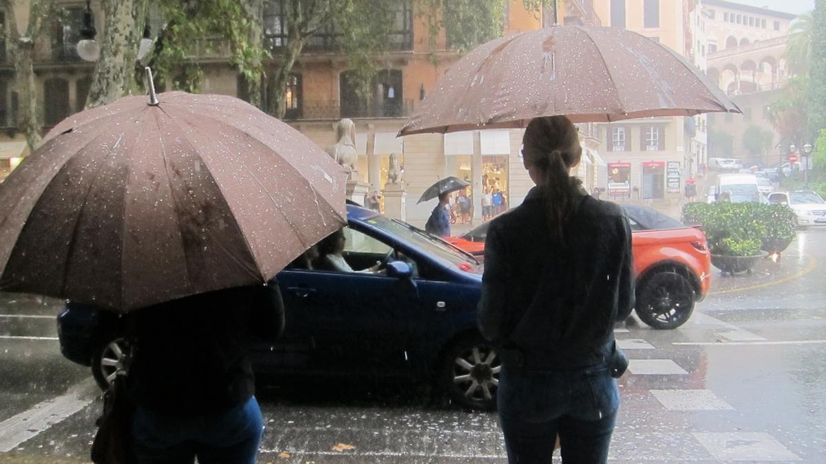 Dos personas con paraguas para cubrirse de la lluvia en el Paseo del Borne de Palma.