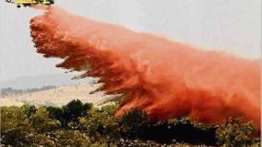 Un incendi crema 78 hectàrees a València