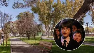 La magia llama a Mérida: el Parque López de Ayala recibe su carta de Hogwarts y se adentra en el universo de Harry Potter