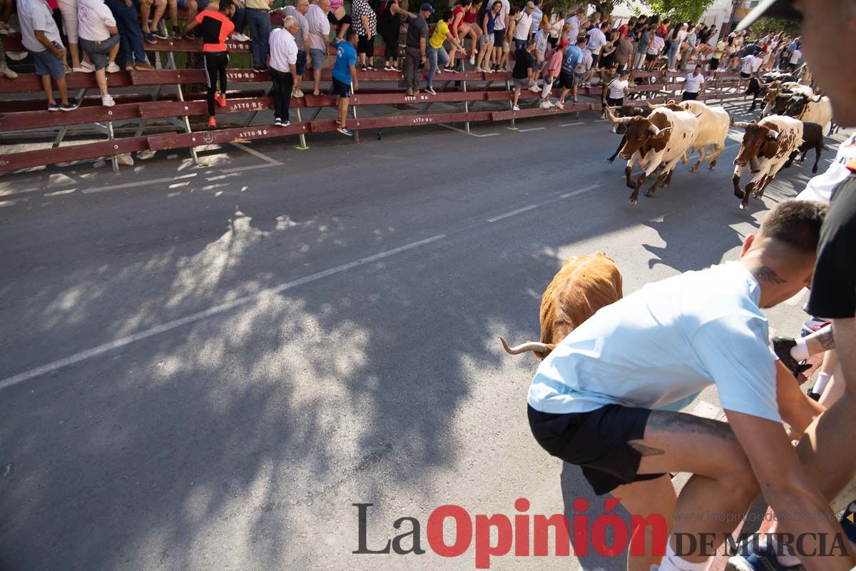 Tercer encierro Moratalla