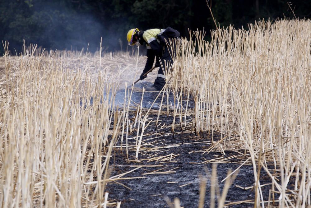 Incendi entre Cruïlles i Monells