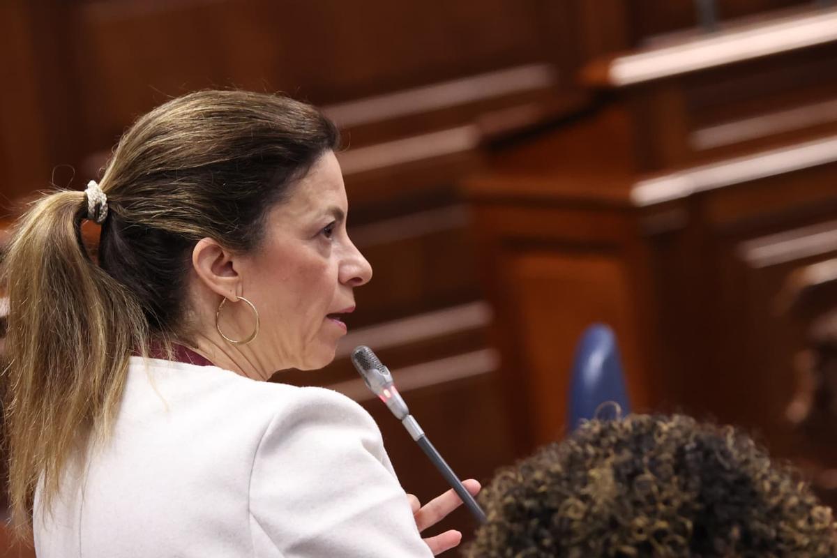 La diputada nacionalista Socorro Beato en una de sus intervenciones en el Parlamento.