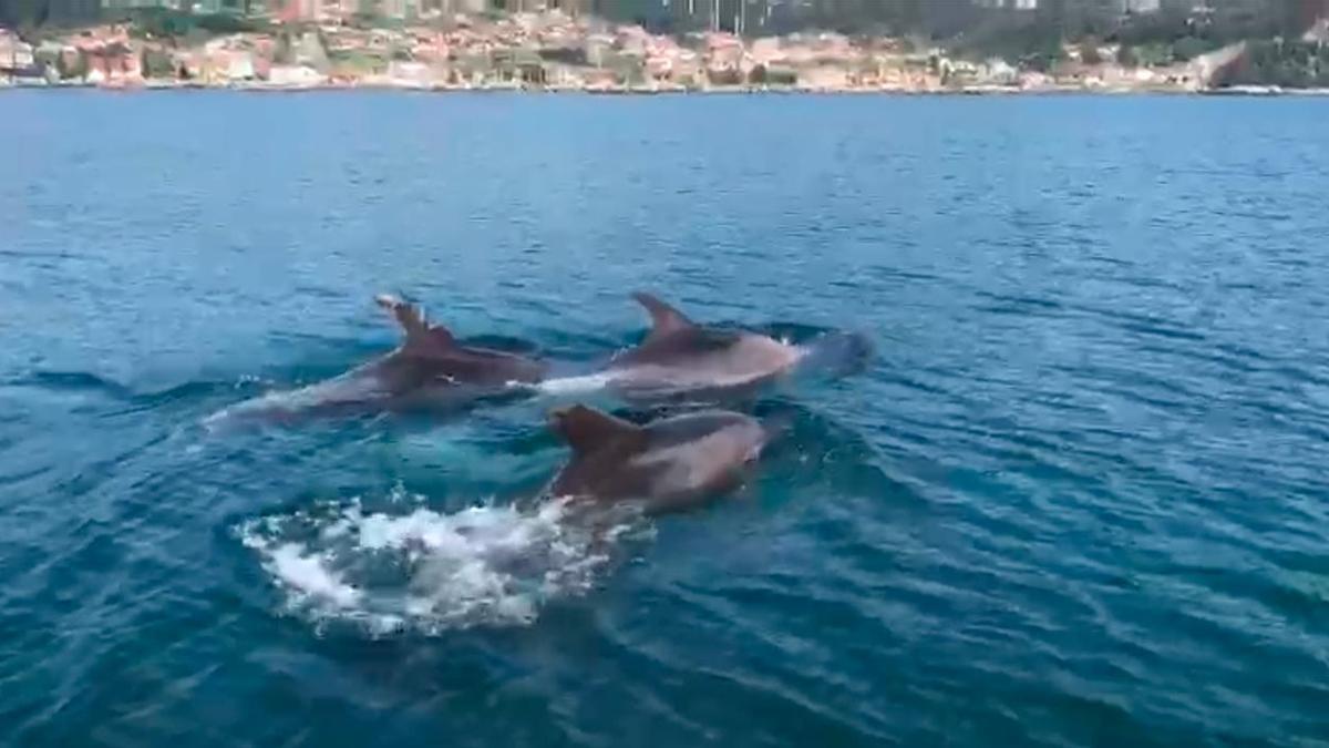 Tres de los cuatro arroaces, junto a la lancha de la despedida de solteros en Chapela