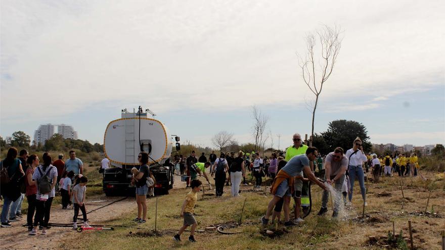 Sagunt planta 1.200 árboles en el margen del río Palancia