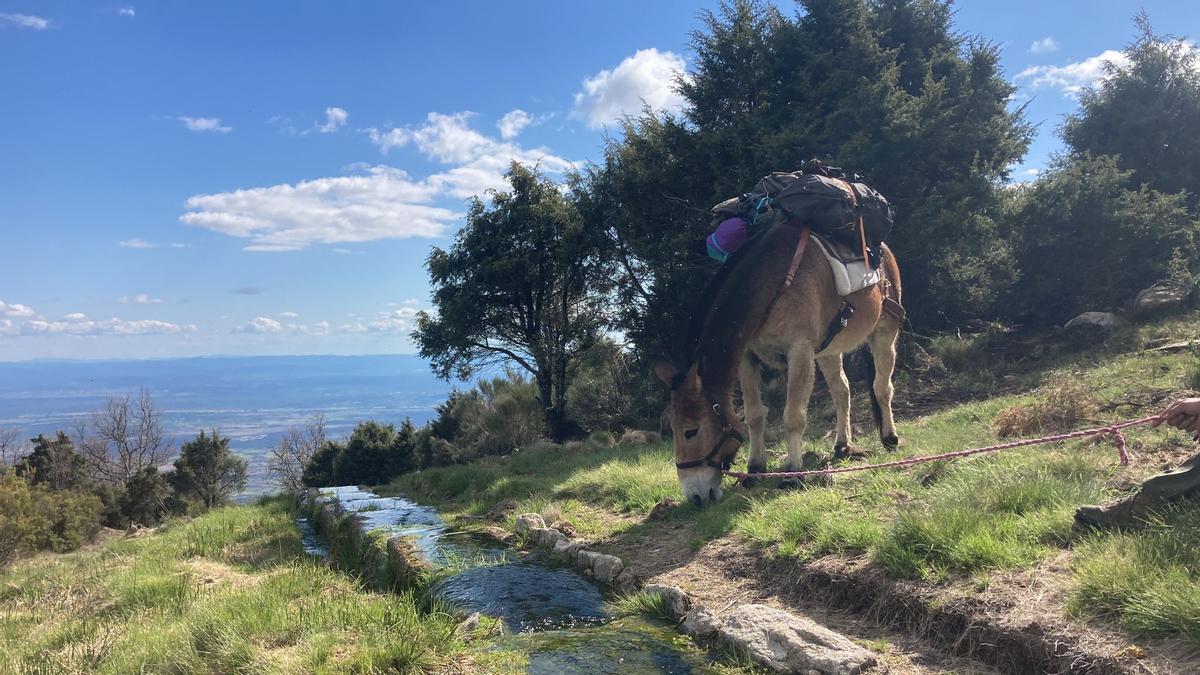 Coto Sierra, nuevo monte protector en Extremadura
