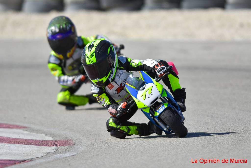 Campeonato Regional Murciano de Minivelocidad