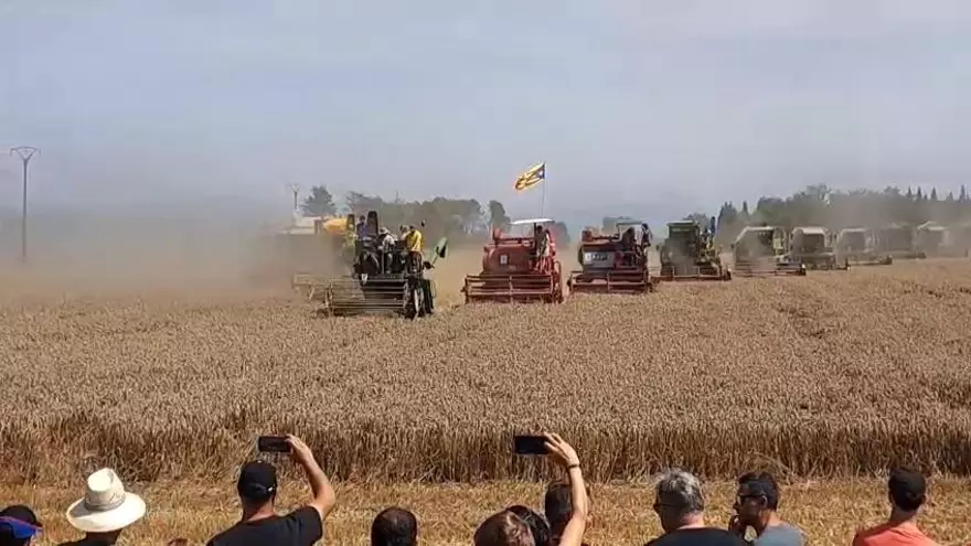 Festa del Batre Fontcoberta 2025